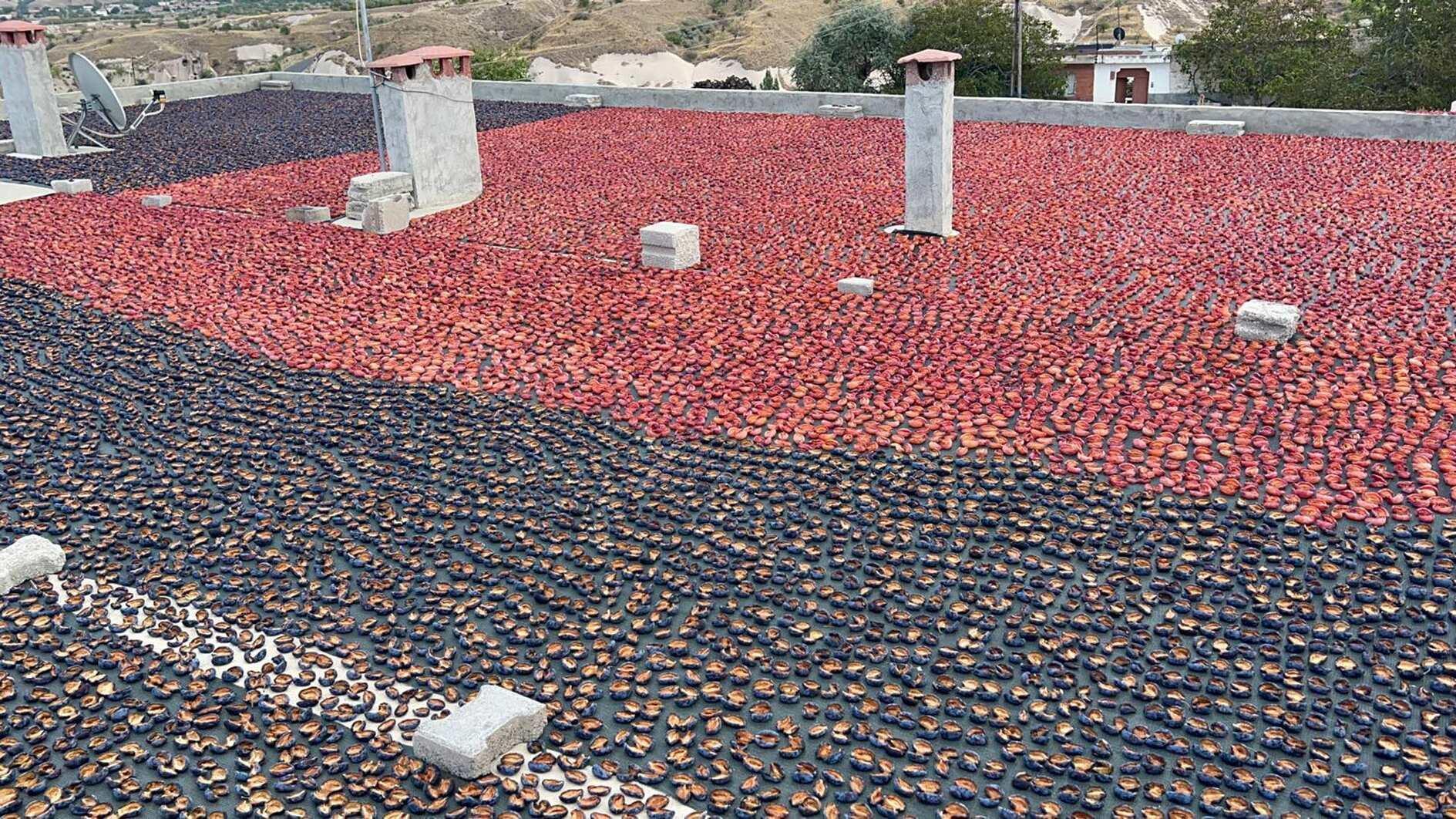 Historical district hosts major ecological agriculture activities