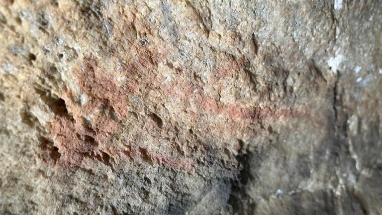 Researchers decode oldest human DNA from SAfrica to date