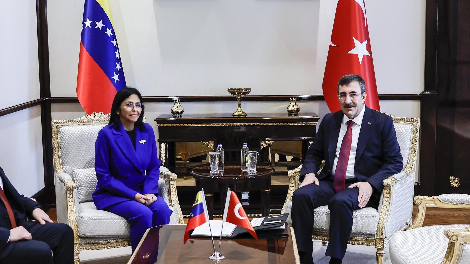 Turkish, Venezuelan VPs discuss bilateral ties