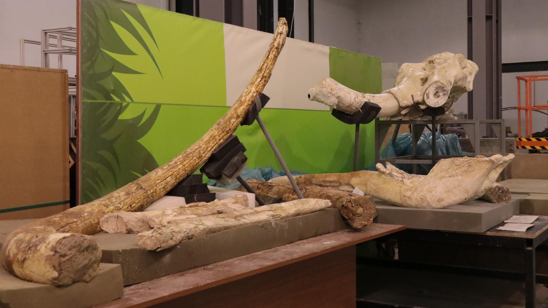 More than 100 fossils found at Yamula dam