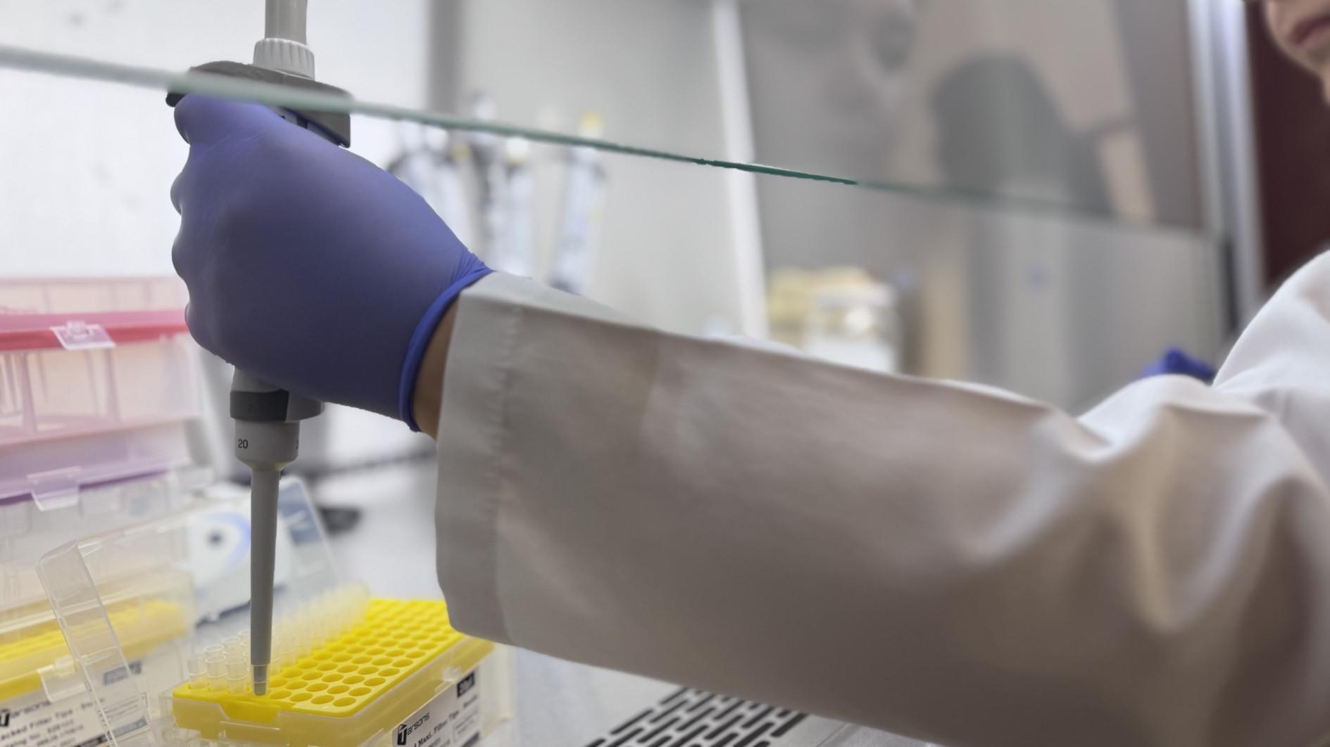 Ankara lab leads fight against food fraud with advanced tech