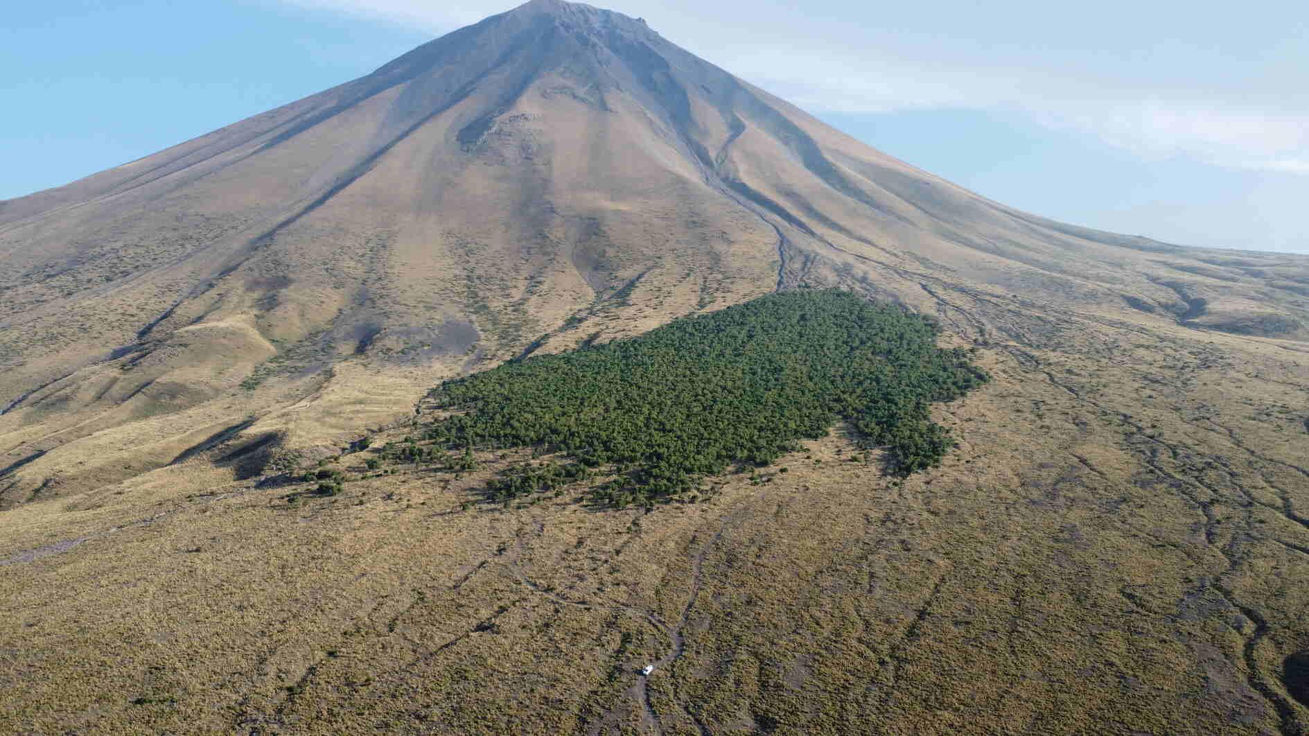 Scientific study launched in countrys easternmost forests
