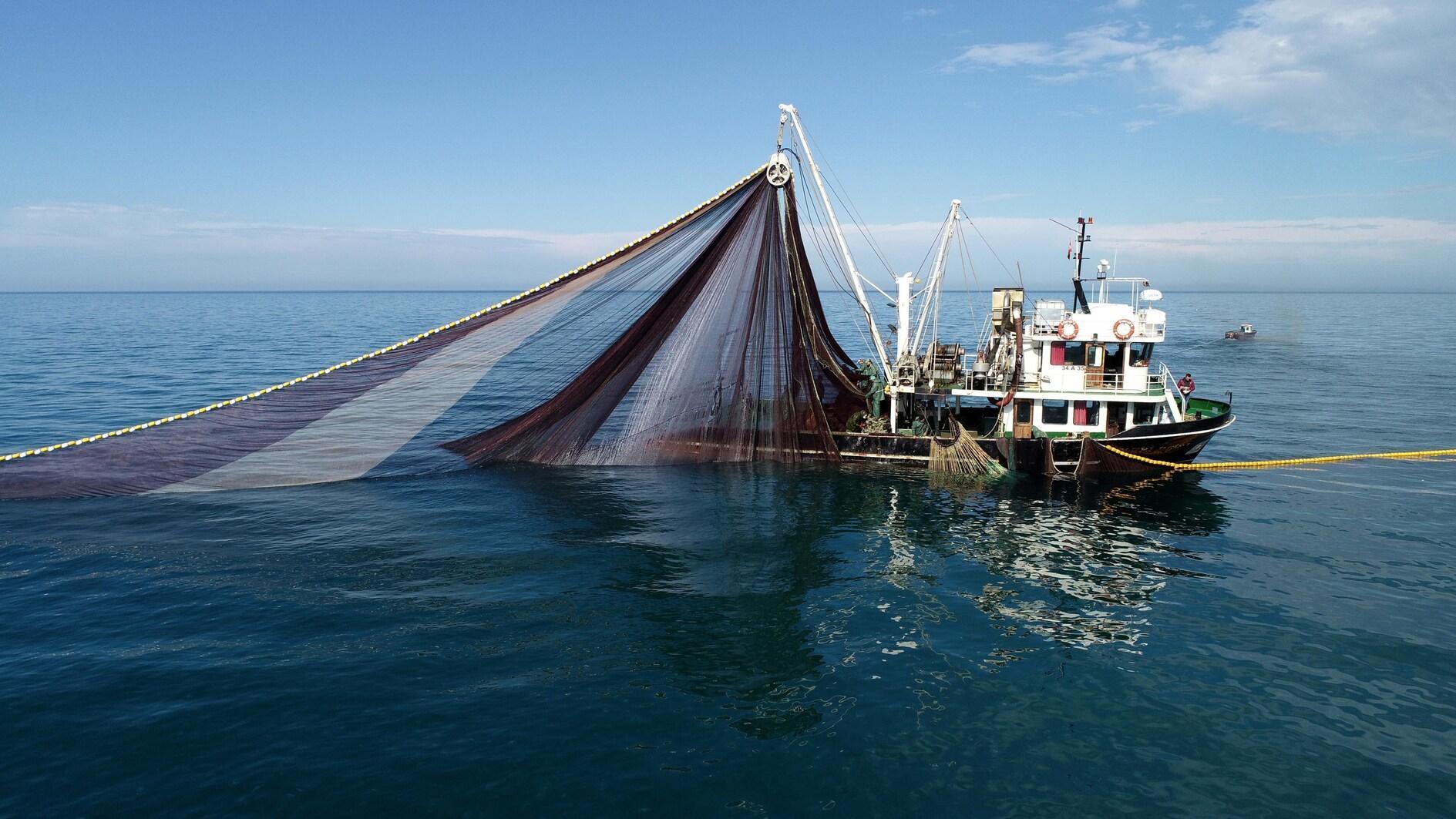 EU-backed project to measure ‘water footprint’ of Mediterranean fisheries