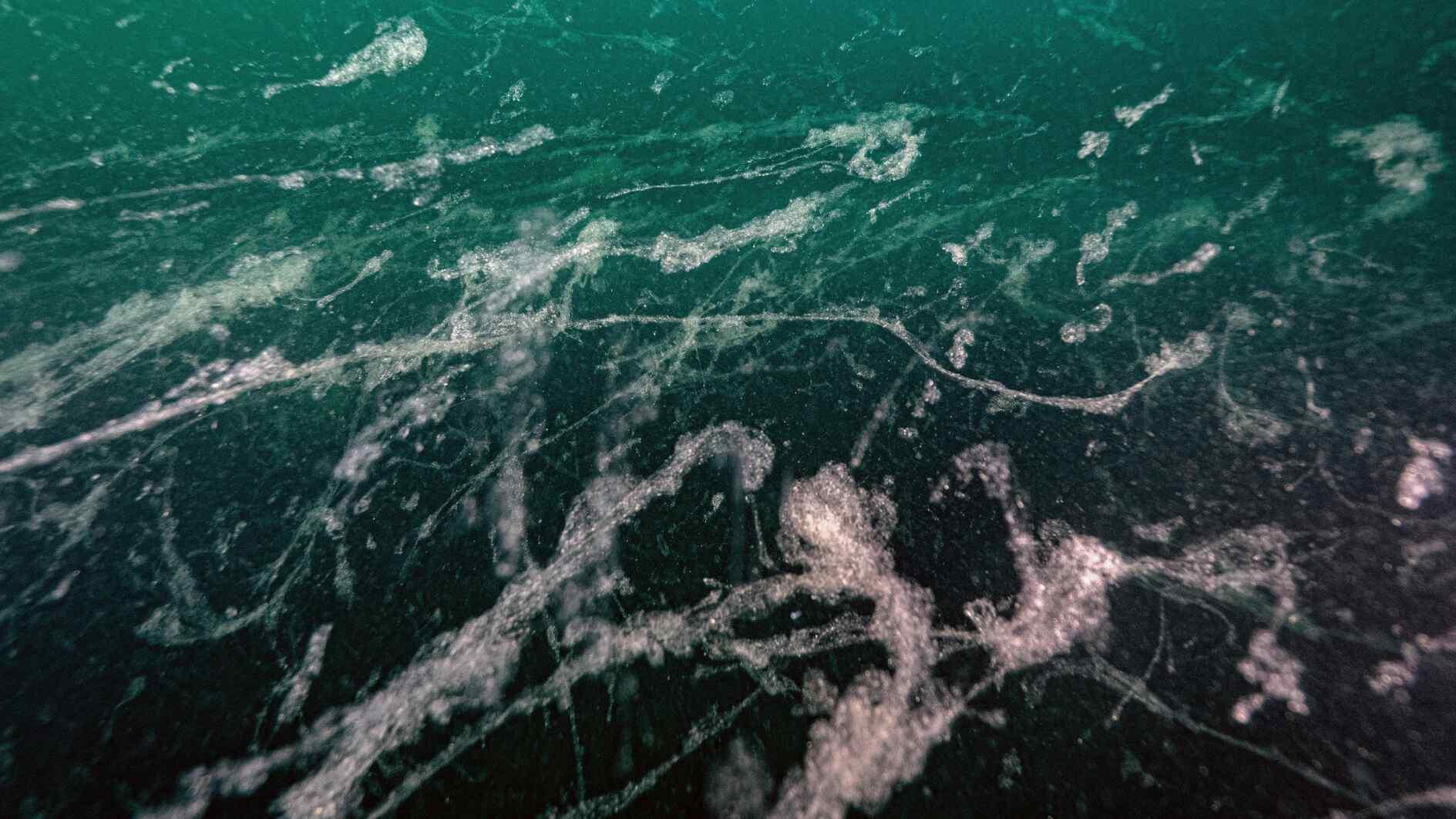 Mucilage reappears in Marmara Sea, says expert