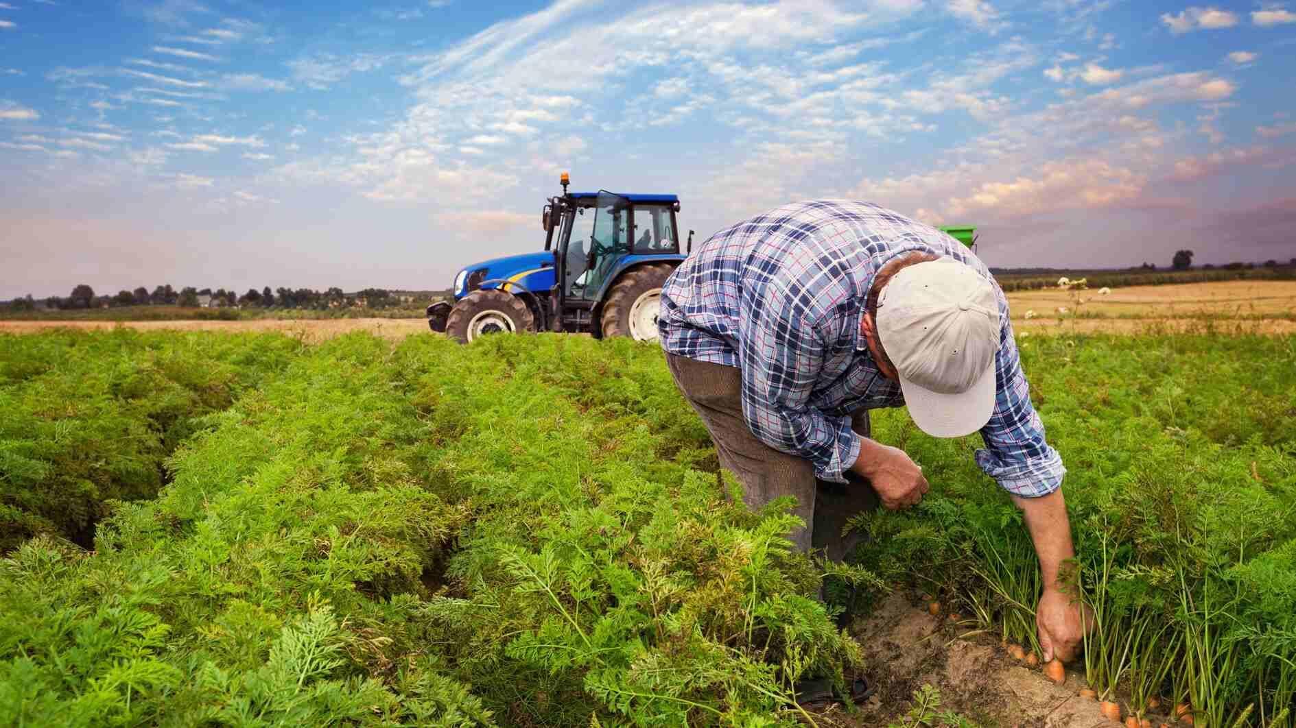 A century-old vision: A nation that feeds itself