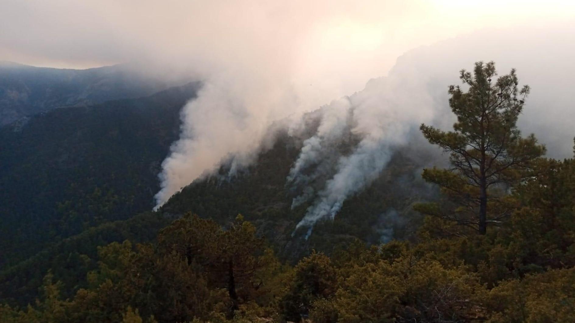 Forest fire continues to engulf southwestern Denizli
