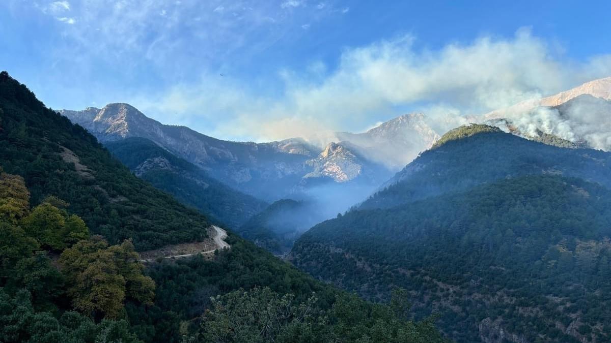 Wildfire in Denizli successfully contained
