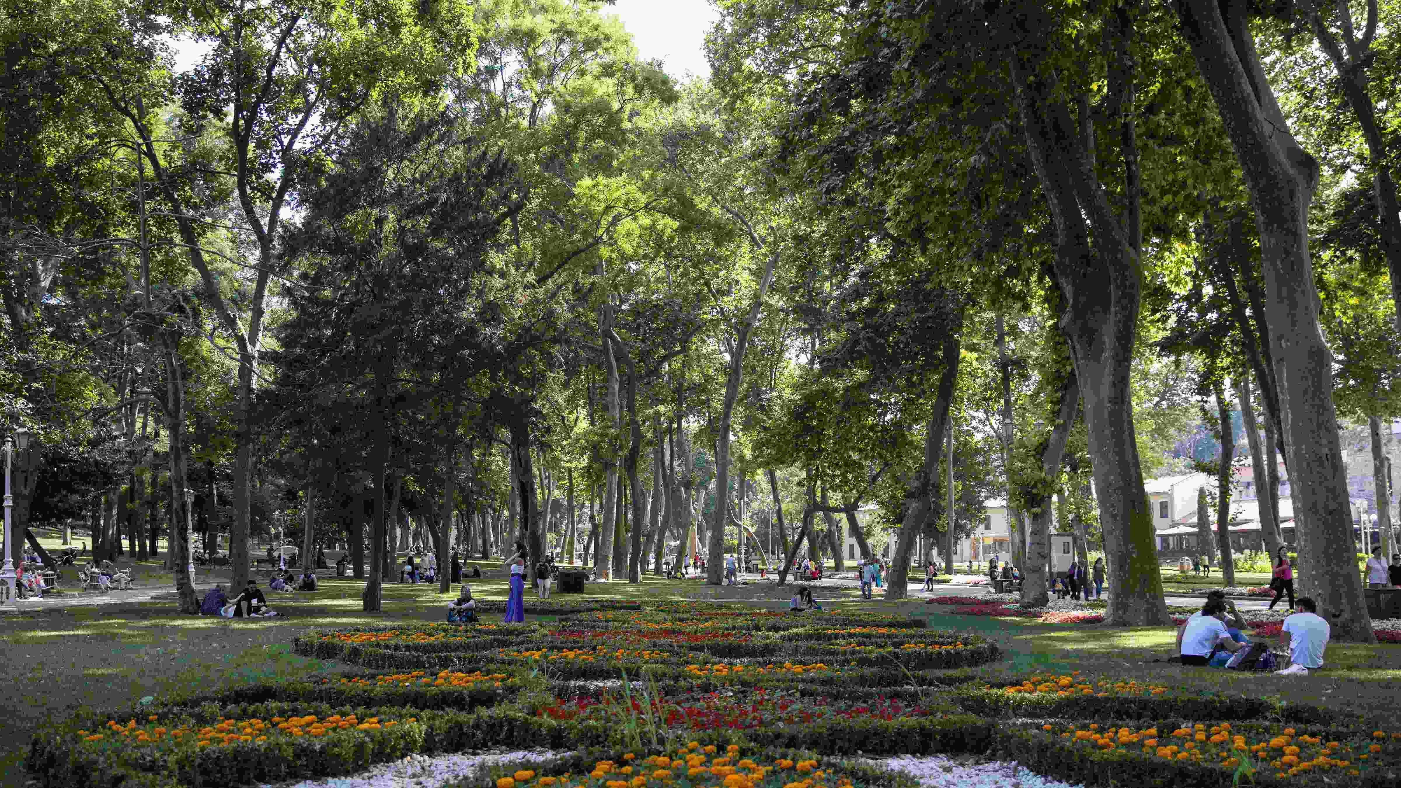 Istanbul’s historic Gülhane Park boasts diverse tree inventory