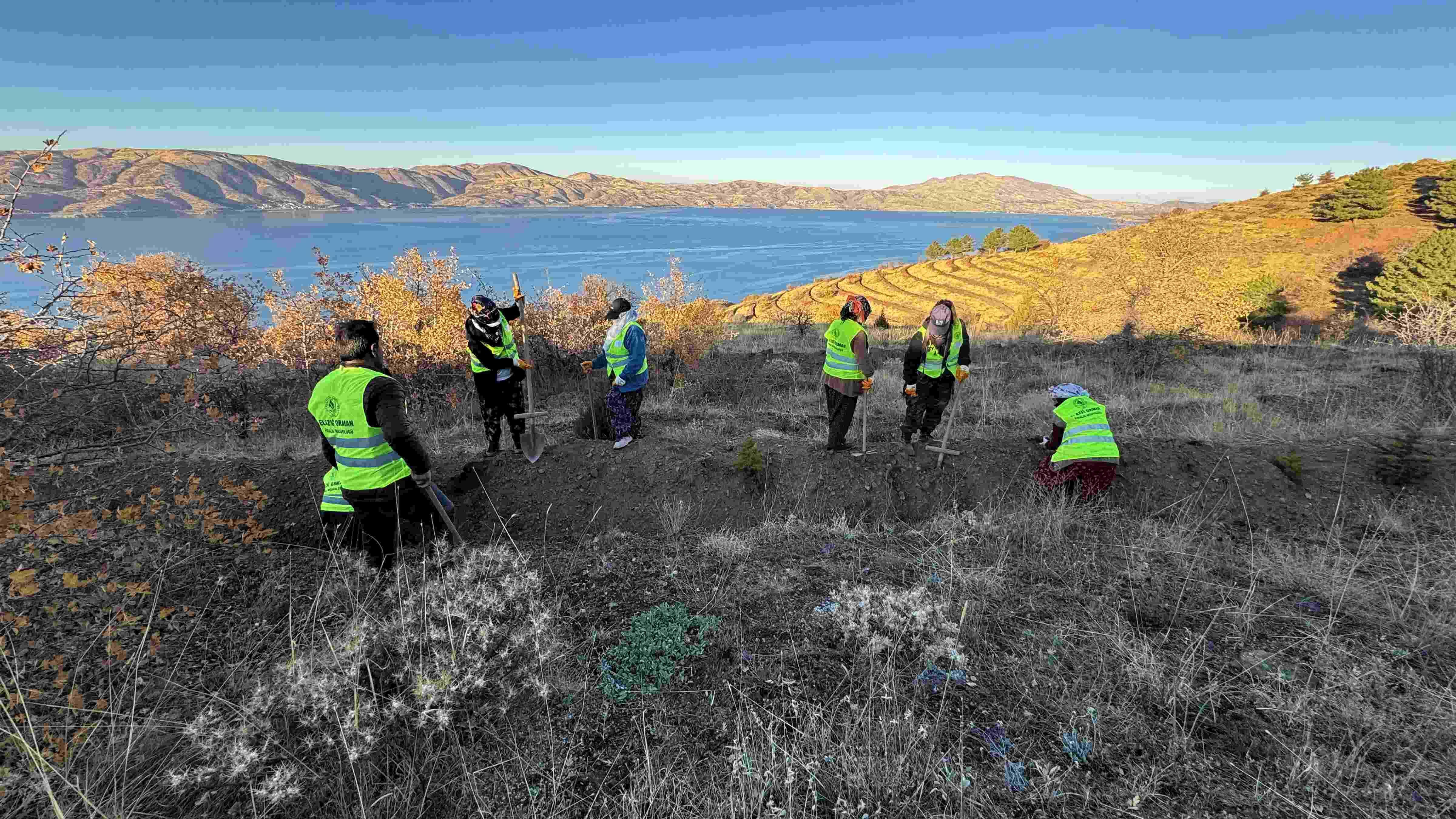 Türkiye plants millions of saplings on National Afforestation Day