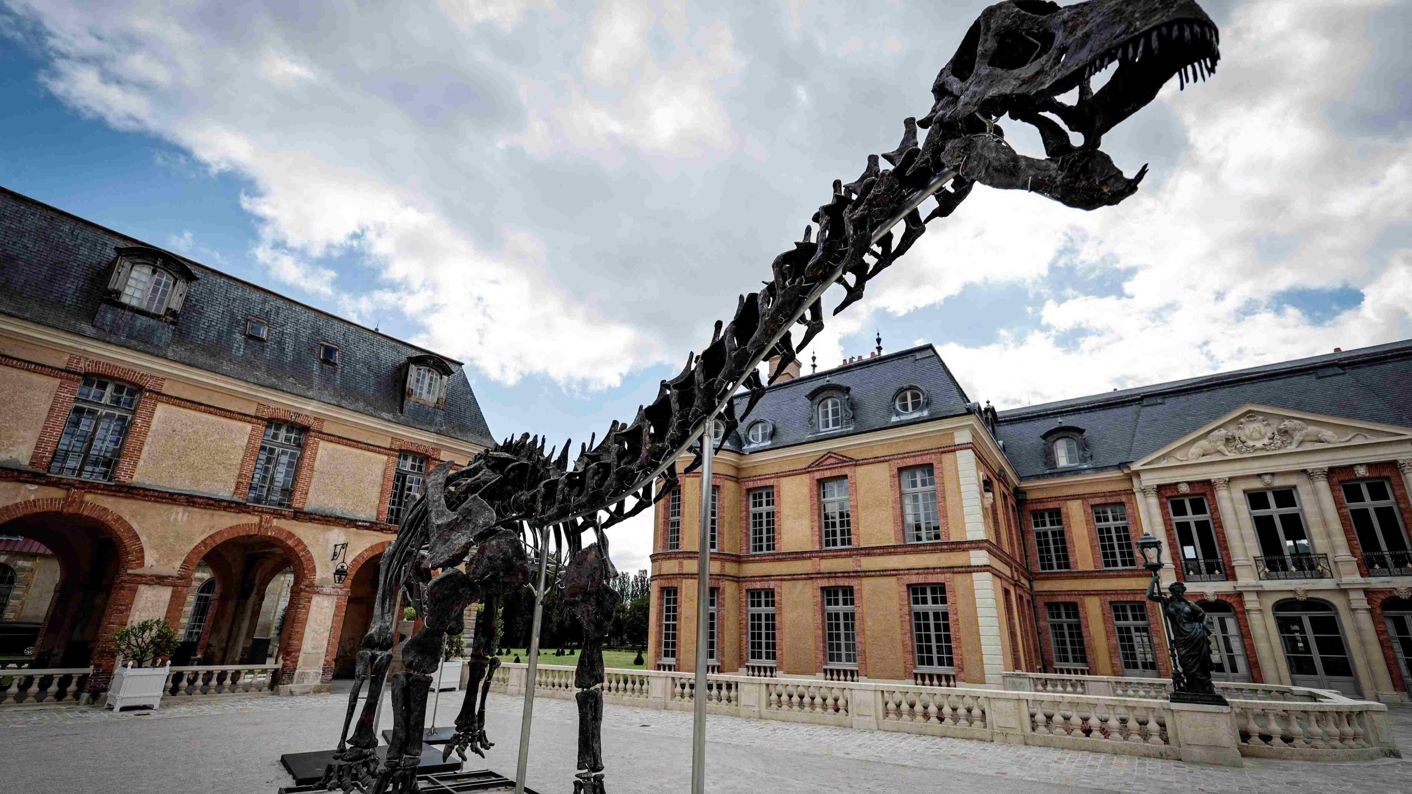 Dinosaur skeleton fetches 6 million euros in Paris sale