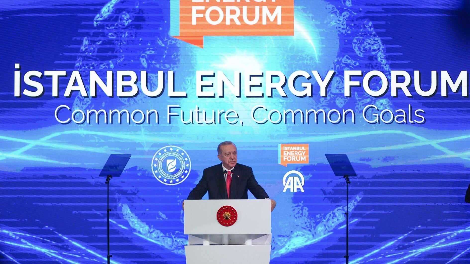 Türkiye will continue on path to energy independence, Erdoğan vows