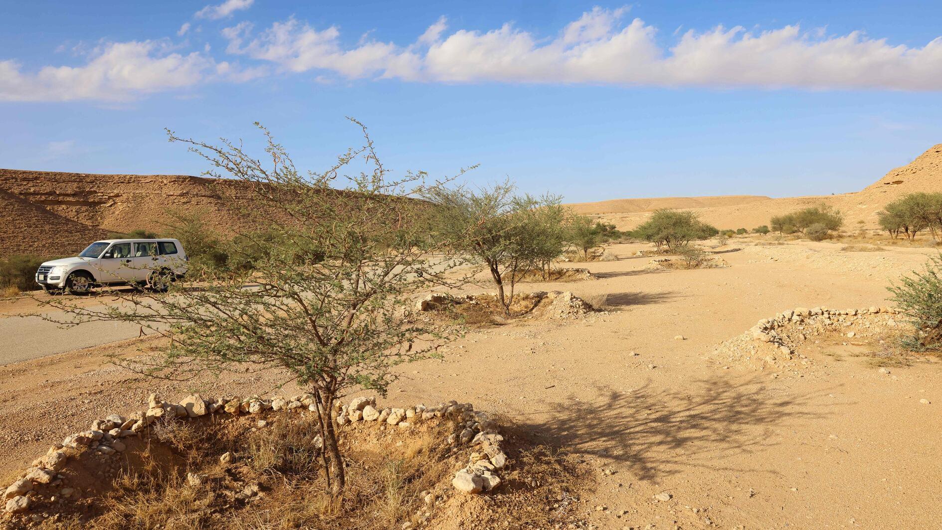 Saudi Arabia hosts UN talks on drought