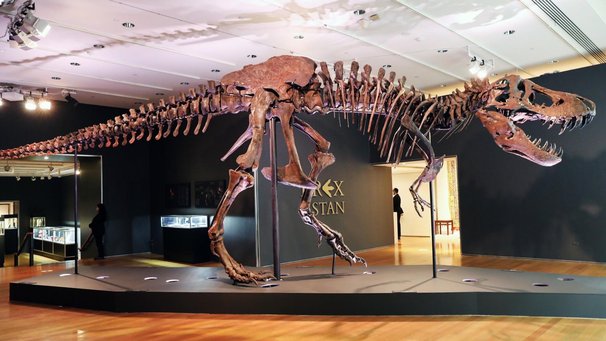 Fossilized digestive remains reveal new perspectives on dinosaur dominance on Earth