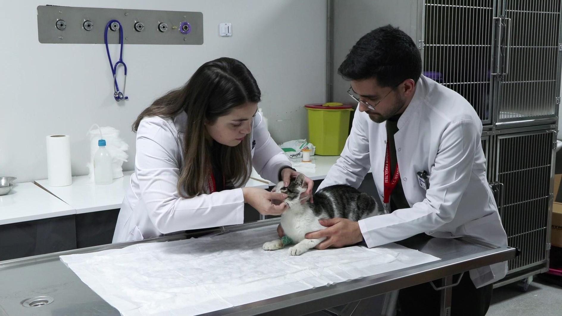 Türkiye’s leading vet faculty unveils animal hospital