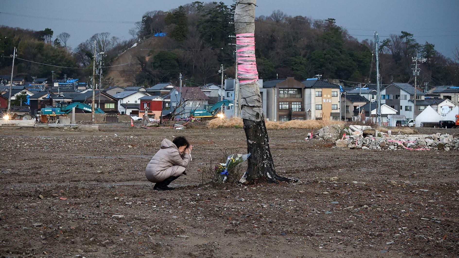 Japan panel says megaquake probability up to 82 pct