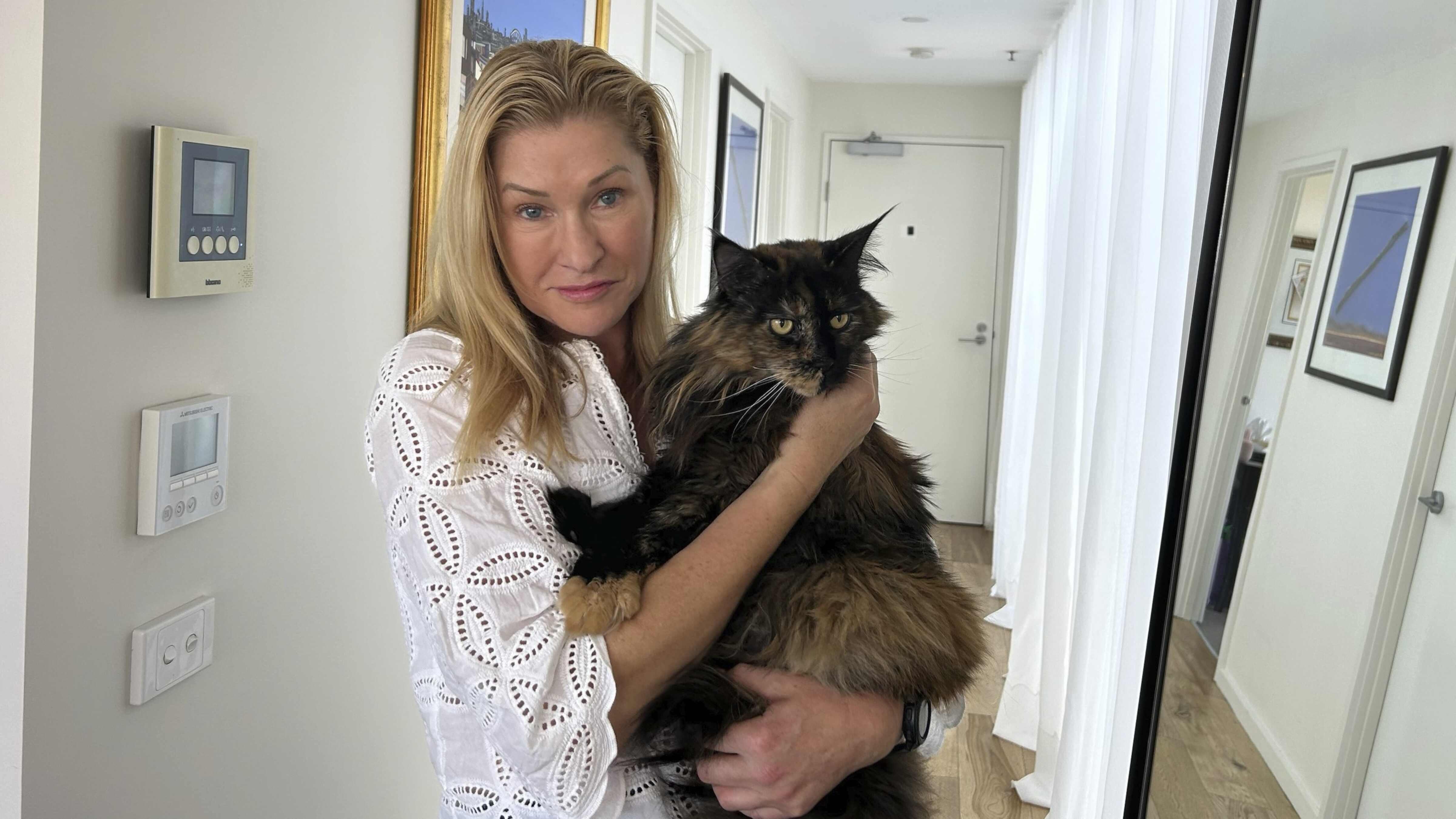 Mittens the cat becomes an accidental frequent flyer