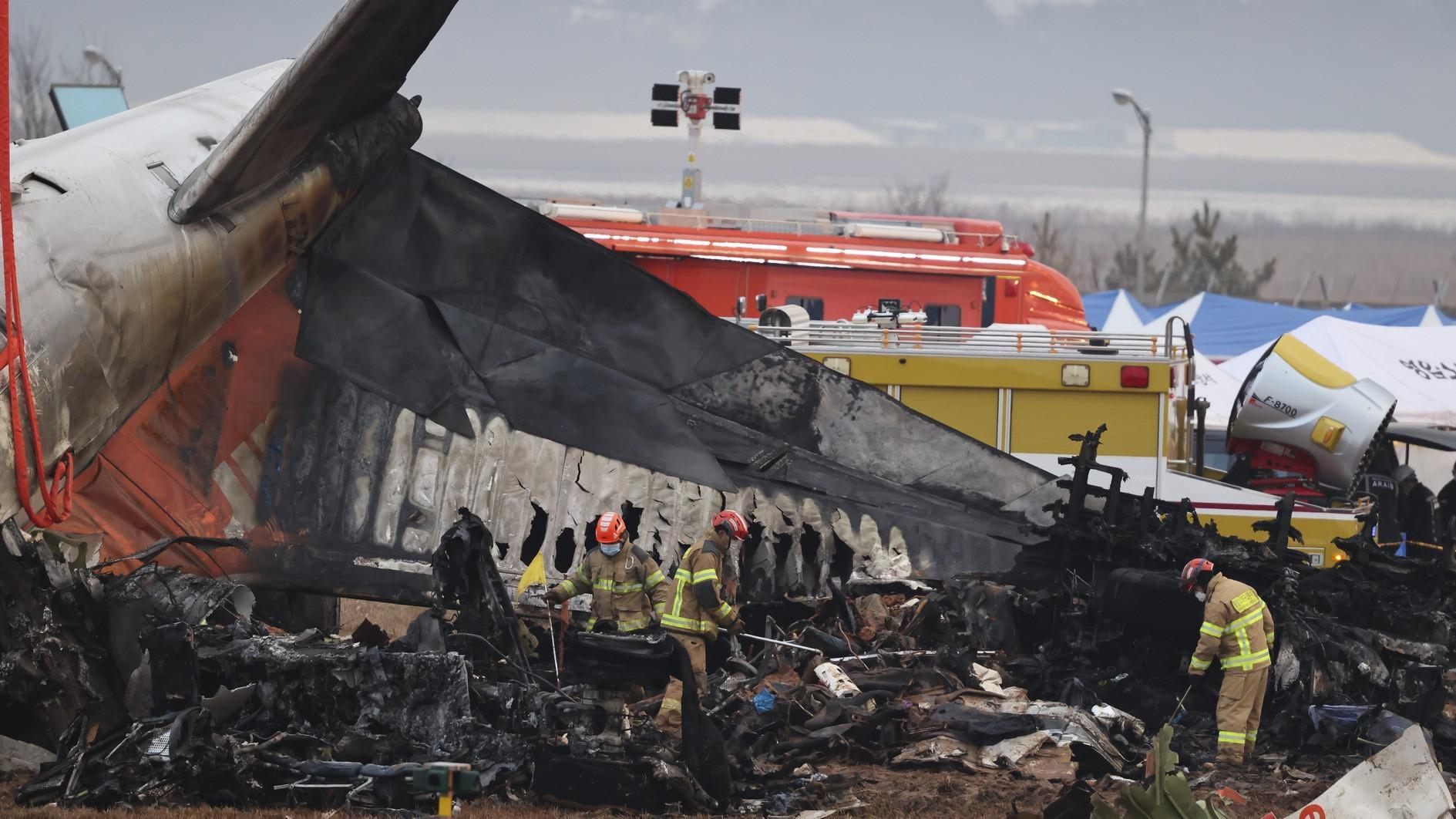 Bird remains found in Jeju jet engines, says crash report