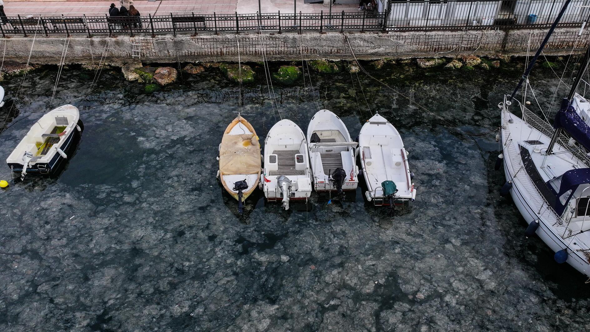 Mucilage once again appears in Marmara Sea