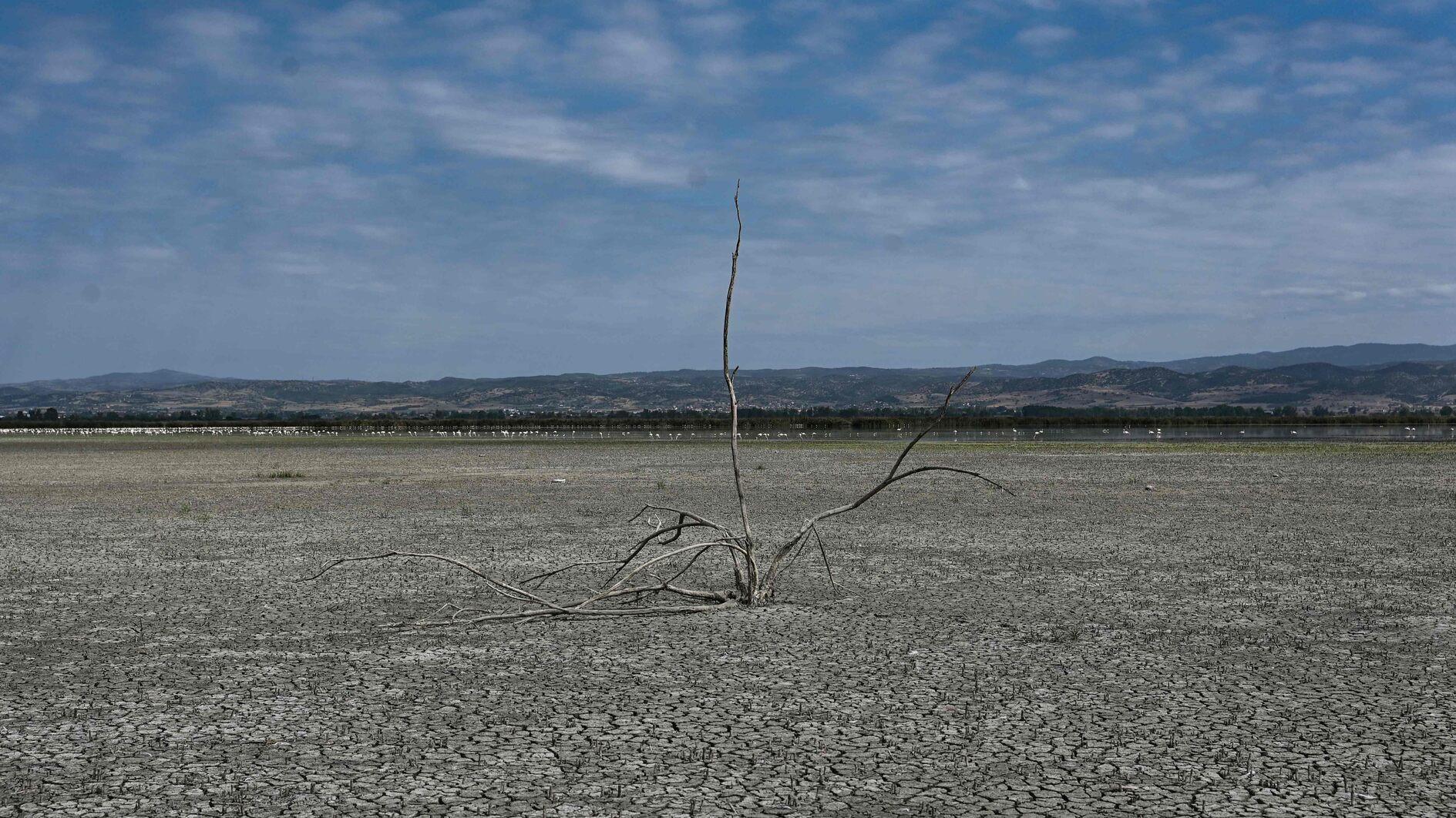 Top climate scientist declares 2C climate goal dead