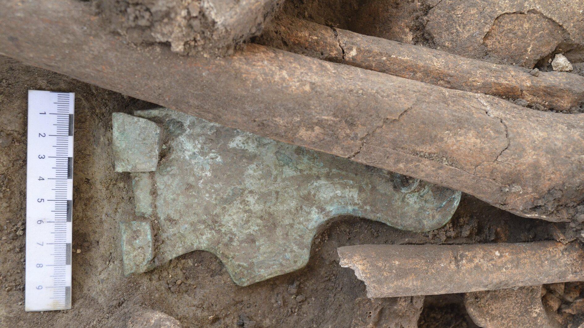 Mass grave of Roman-era battle fighters revealed in Vienna
