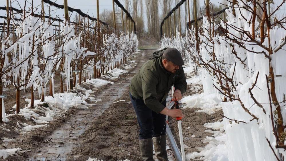 Severe frost may lead to food inflation, force import of fruit
