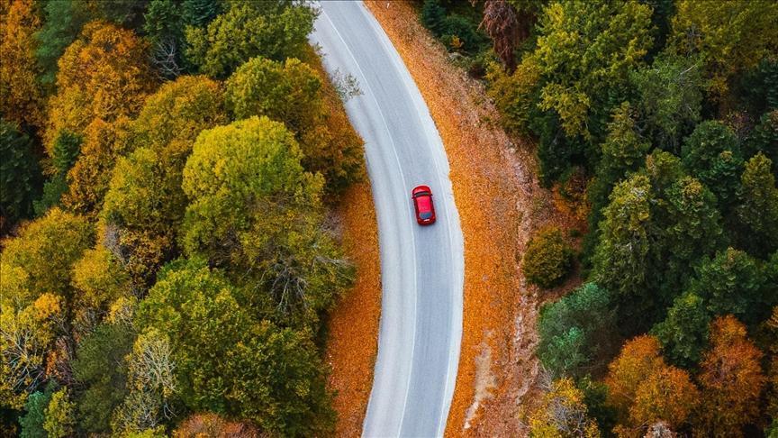 Turkish auto sector shifts gears for green transformation