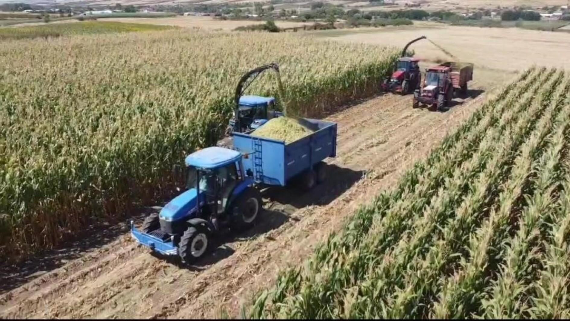 Agricultural input prices rise 29 percent annually