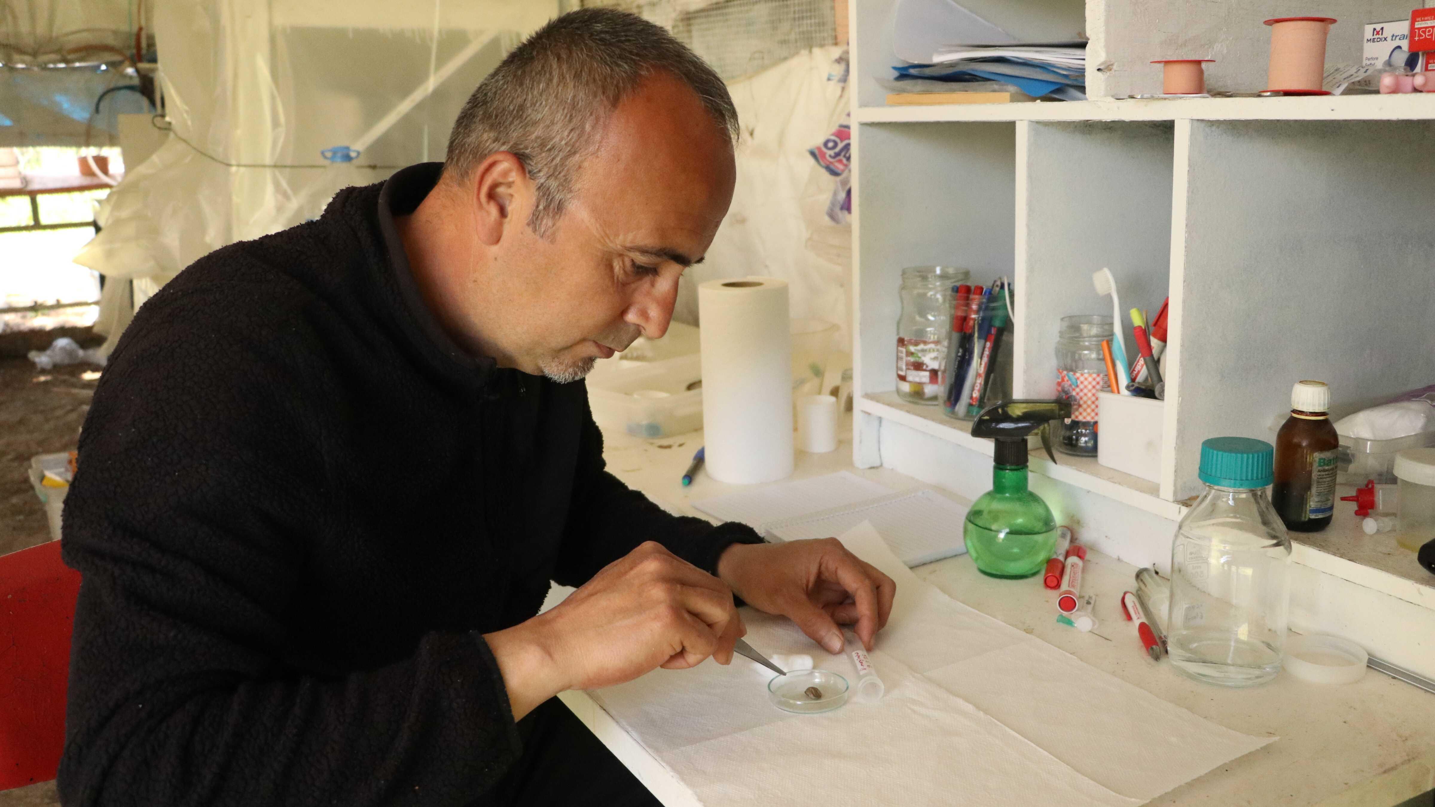Türkiye joins simultaneous int’l climate study on tick-borne diseases