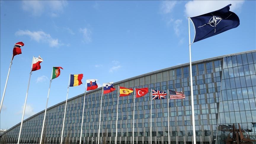 NATO allies increased defense spending by 19.4 percent in 2024: Report