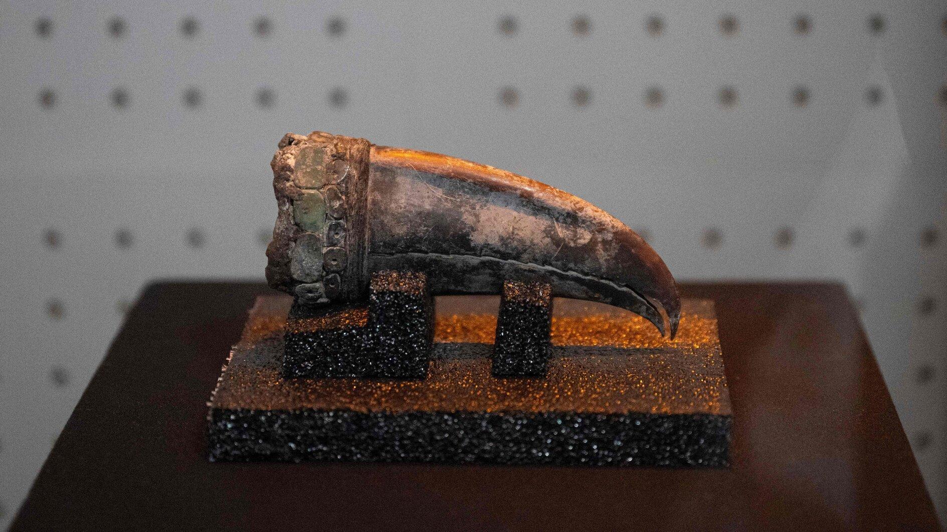 Remains of 5,000-year-old noblewoman found in Peru dig
