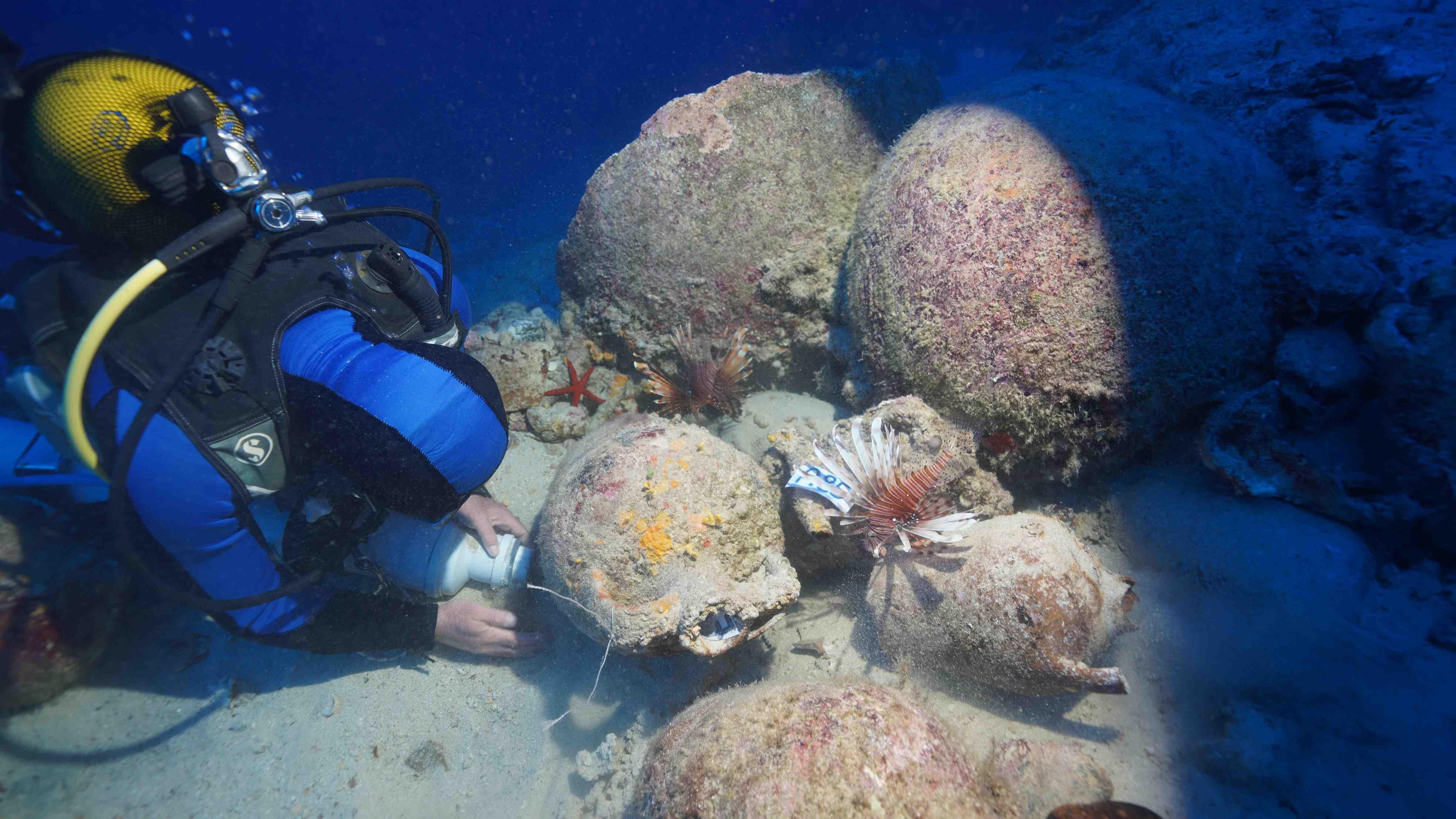 Sealed amphora discovered in shipwreck
