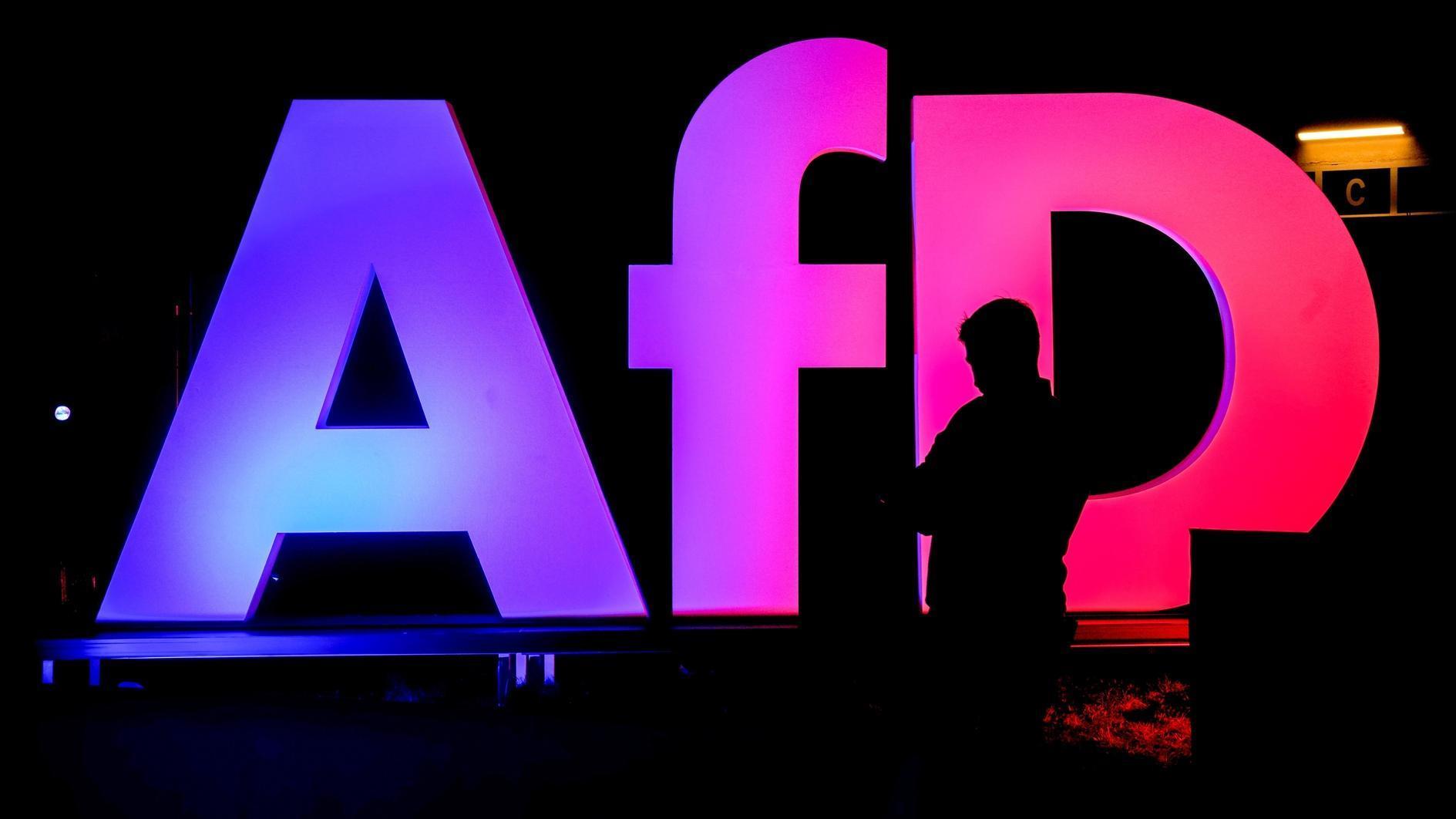 German intelligence designates AfD as right-wing extremist group
