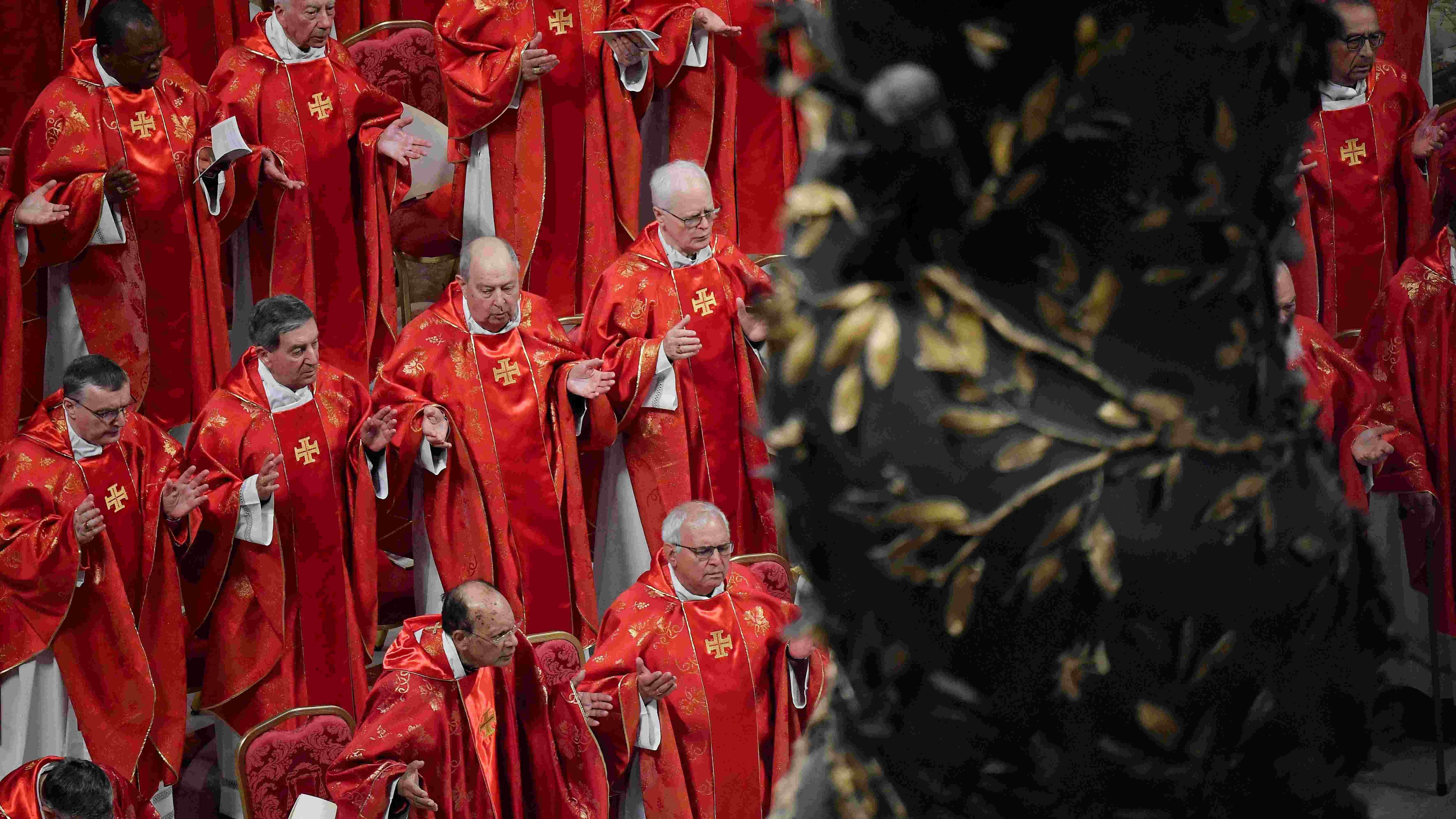 Next pope faces tough task, cardinals told