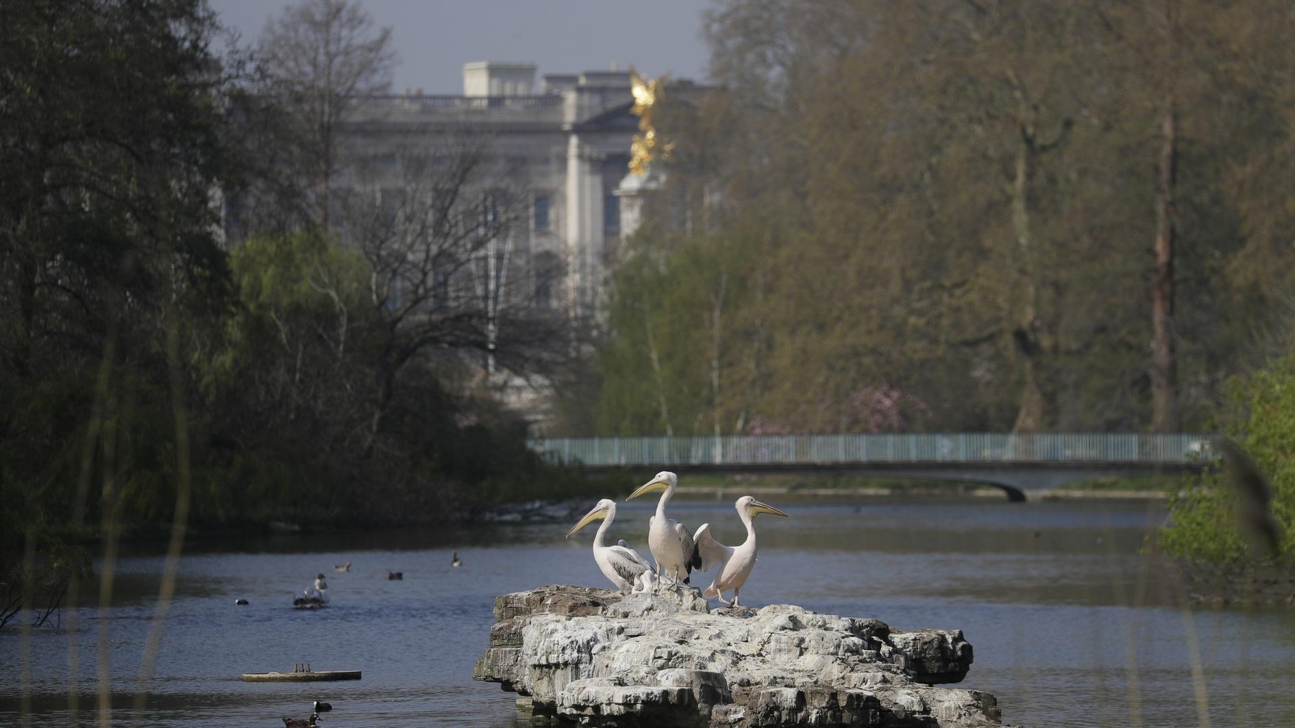Designs compete for Queen Elizabeth IIs memorial