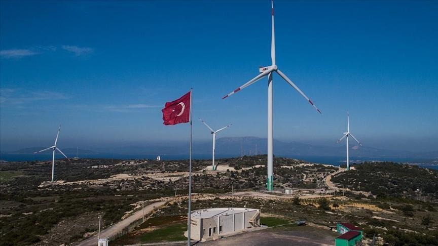 Energy diplomacy helps ensure energy security: Minister