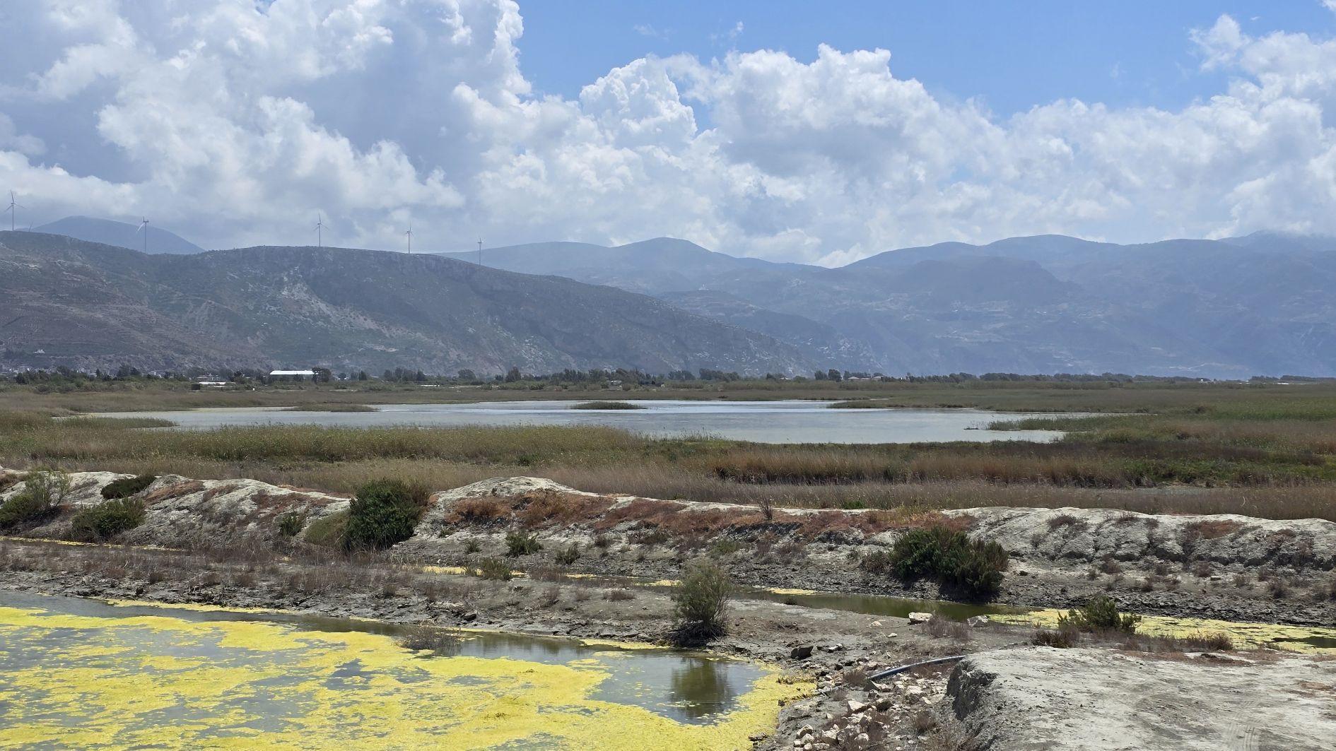 Ministry takes steps to protect Hatay bird sanctuary