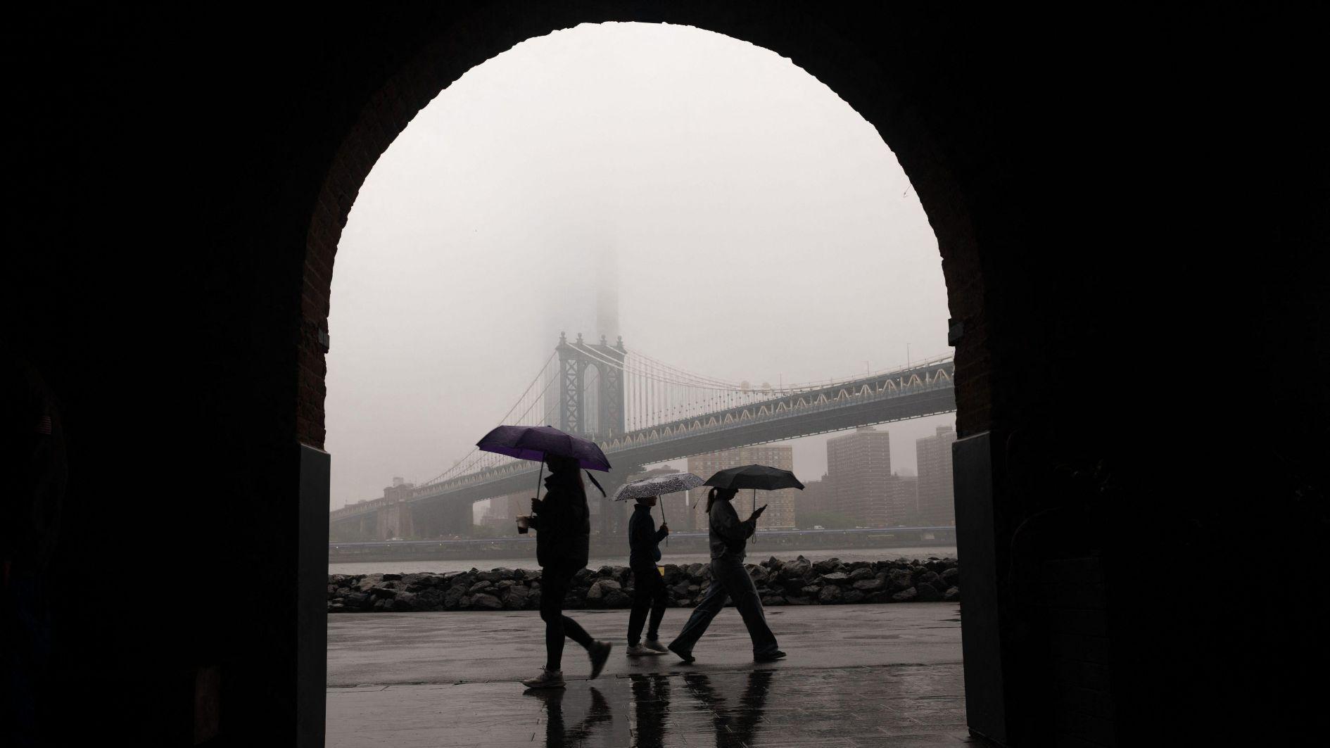 US set to lose $12.5 bln in foreign tourism in 2025: Industry