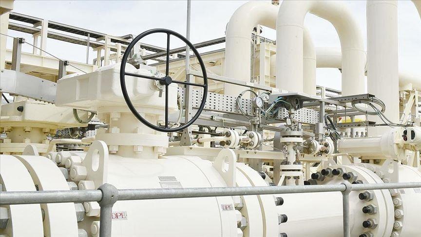 Natural gas distribution network expands 8 pct last year