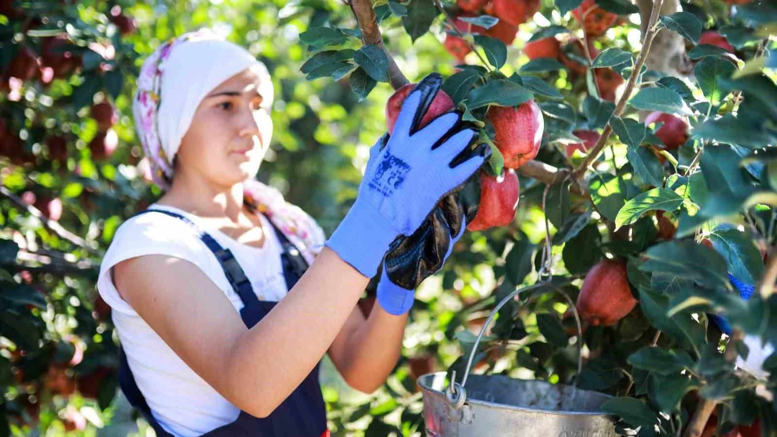 Vegetable and fruit production forecast to decline in 2025