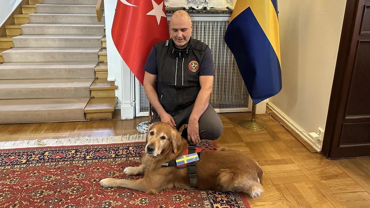 Swedish search dog who saved 18 lives in Türkiye quakes dies
