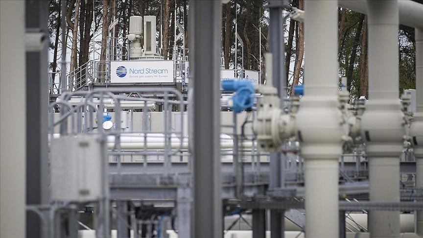 German ruling party figure urges Nord Stream talks with Russia