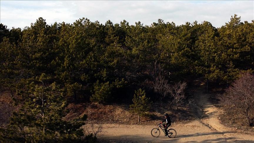 Ankara bans forest access to prevent summer wildfires