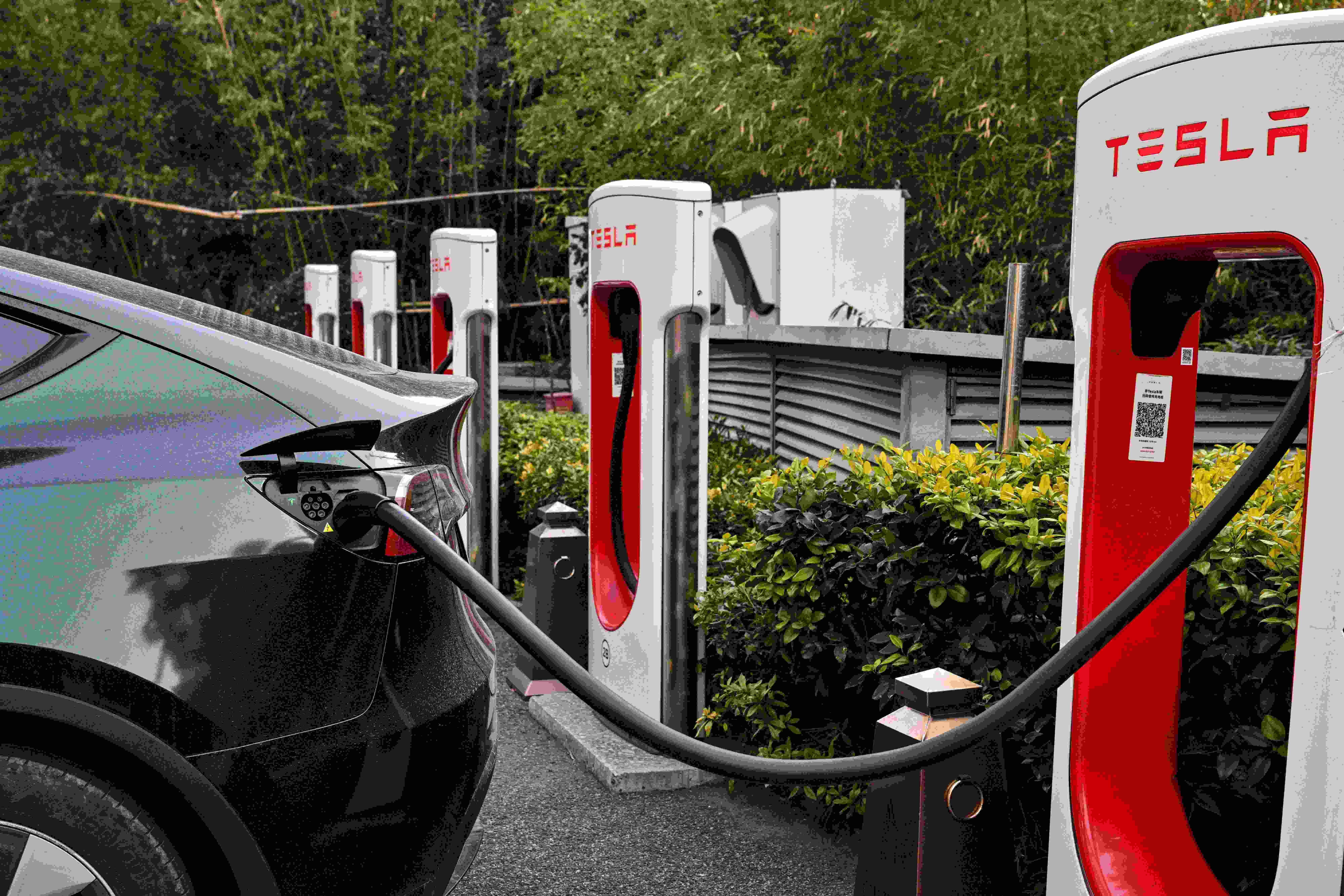 Tesla’s sales in EU slump 52 pct in April, says trade group