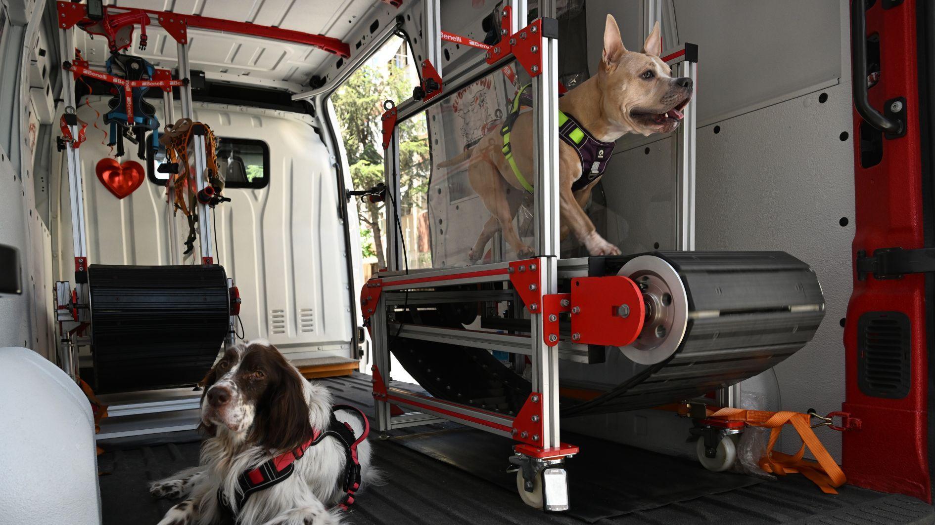 Mobile dog gym helps pets stay fit