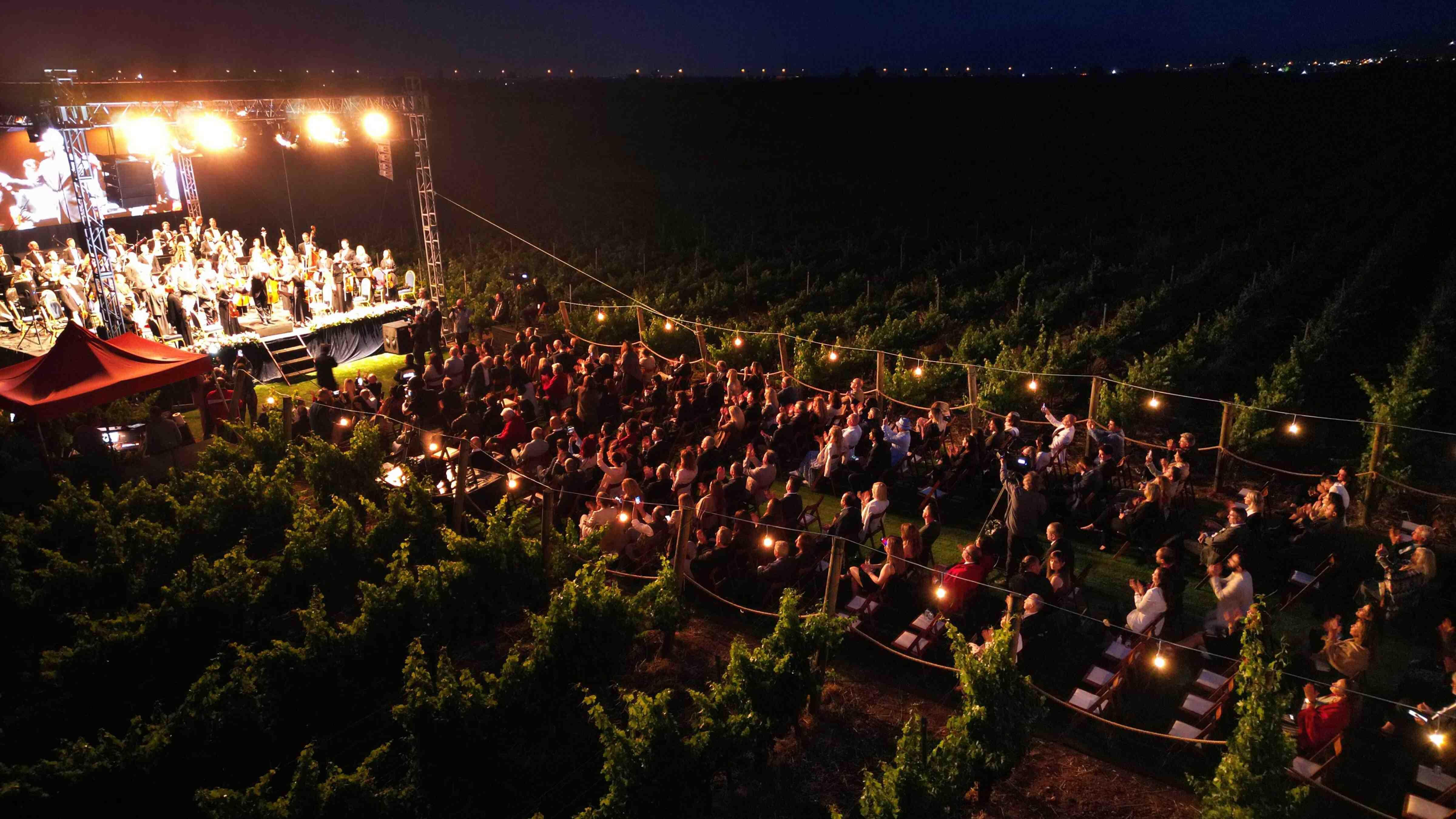 A night in vineyard