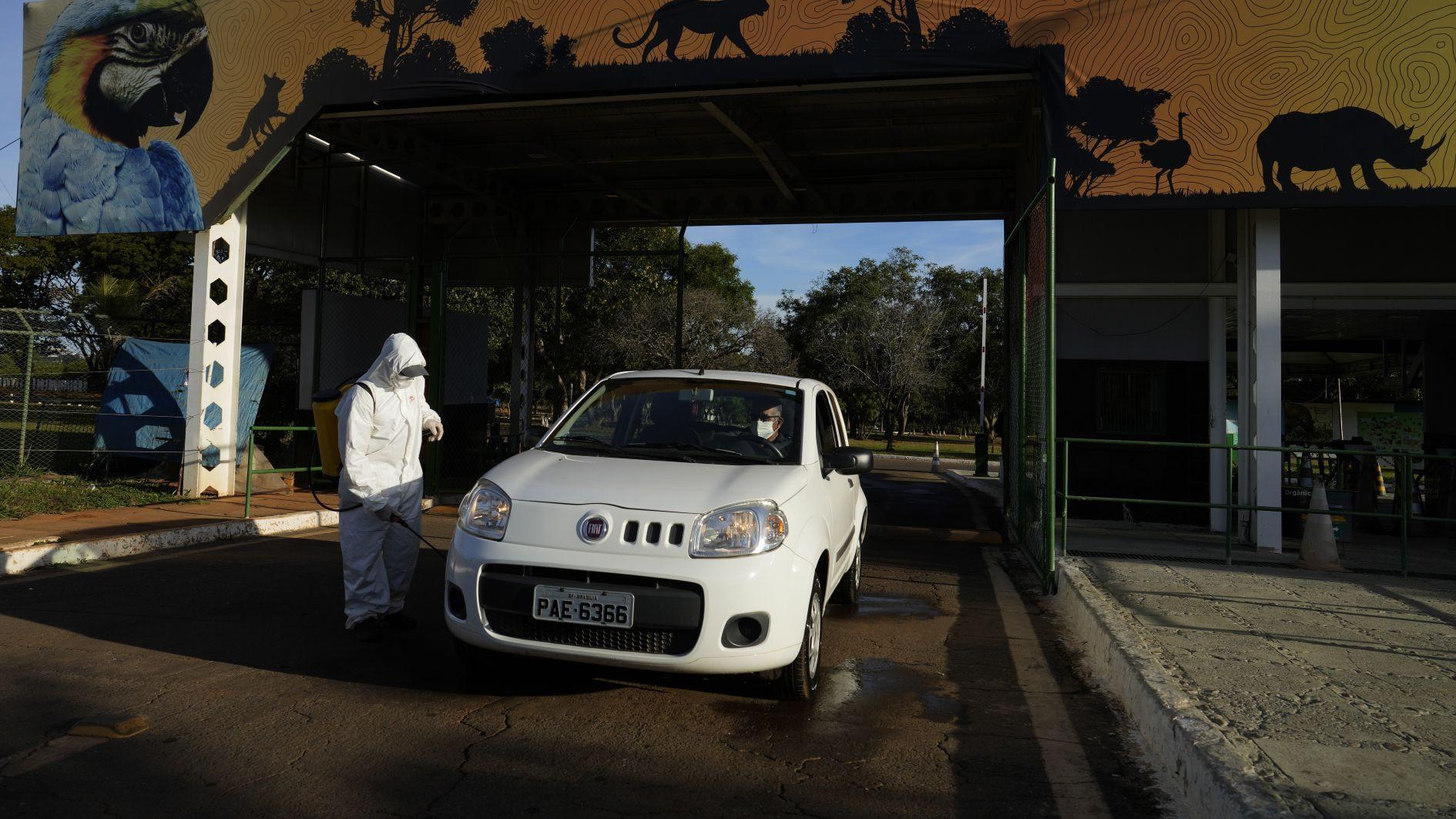 Brazil says bird flu outbreak that hit poultry sector contained