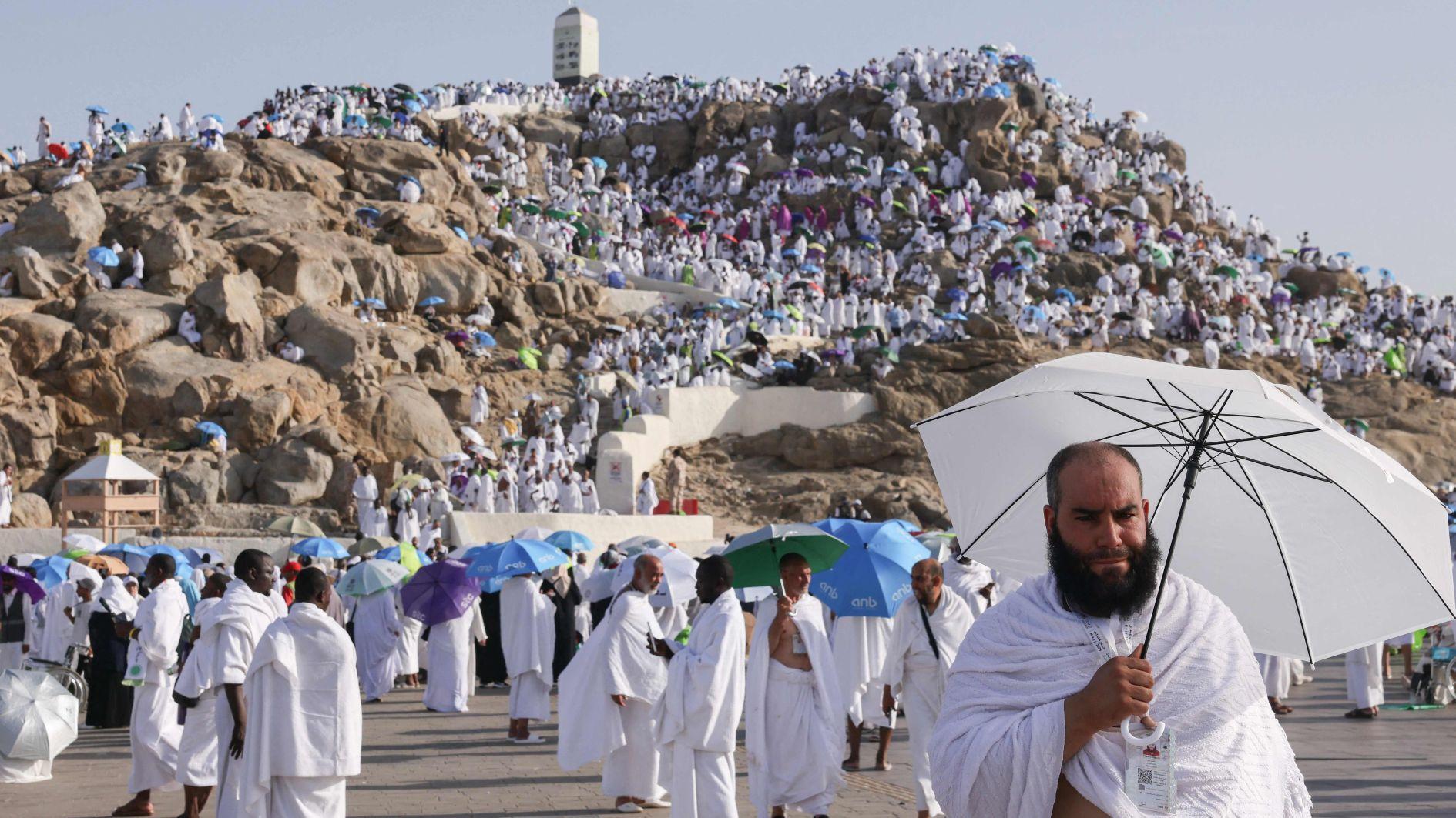 Muslim pilgrims pray at Mount Arafat in Hajj apex