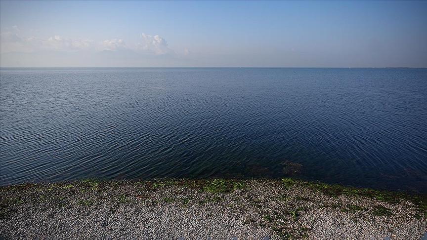 Türkiye continues work on marine park plans in Aegean Sea: State media