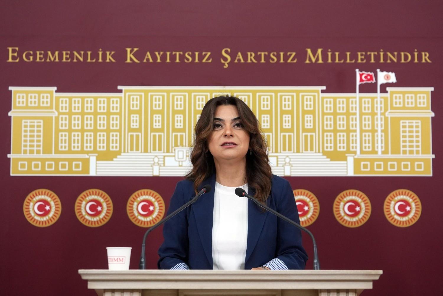 DEM Party urges peace commission before parliament recess