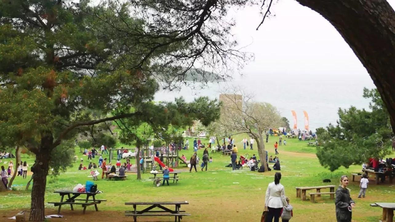 Picnic vibes